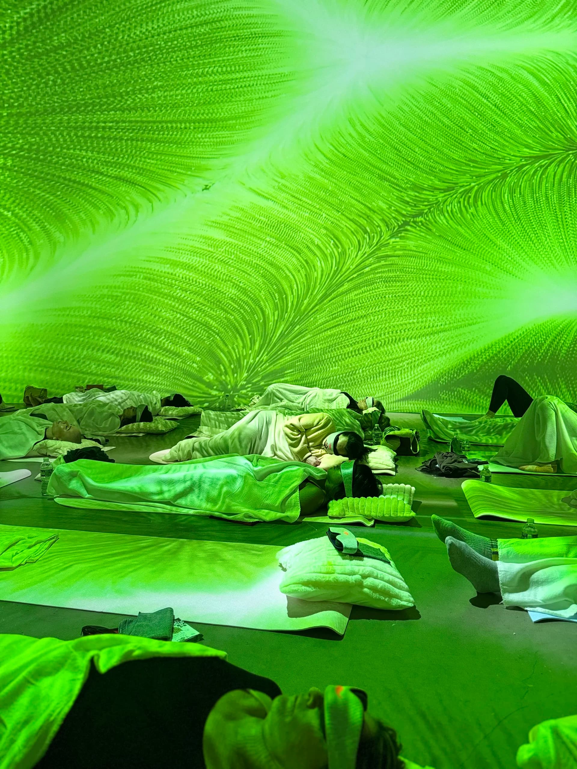 Green fractal projections enveloping the room during savasana